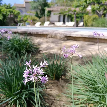 La Jasse Double Independante Avec Piscine Bed & Breakfast